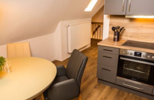 Baerenburg Apartment | The attractive kingdom of heaven in the rooftop of Villa Marie in Oberbärenburg