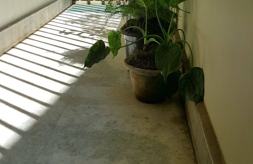 Gangtok House | The Aura-live homely