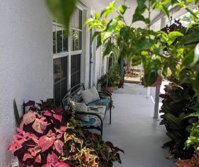 North Andrews Gardens House | The Ave House- Private Oasis Retreat W/heated Pool