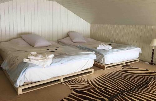 County Louth House | The Baby House @ Wood Quay, Carlingford