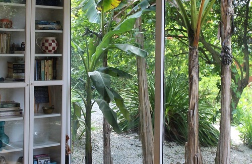 Cacia House | The Backyard House - Vale da Silva Villas up to 5 pax