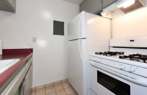 Palms House | The Bagley #211