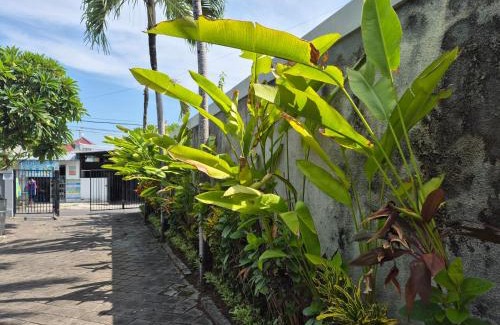 Dalung Villa | The Bagus
