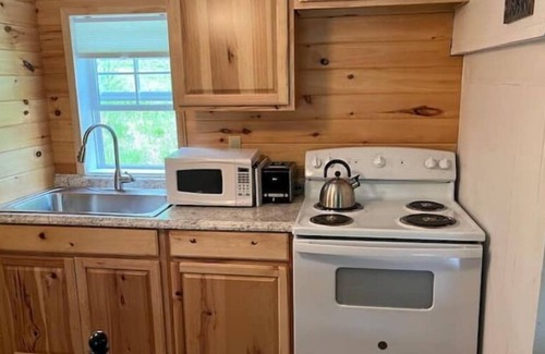 Ouaquaga Cabin | The Bald Eagles Nest riverside cabin