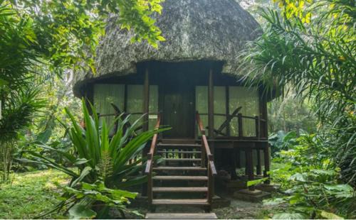 Havelock Island Resort | The Barefoot At Havelock