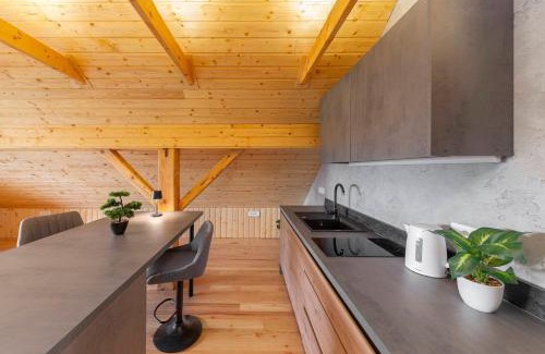 Kranj Apartment | The Barn Košnik