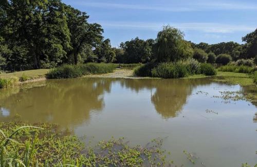 New Forest District House | The Barn New Forest Free Paddle boarding & free Zip wire.