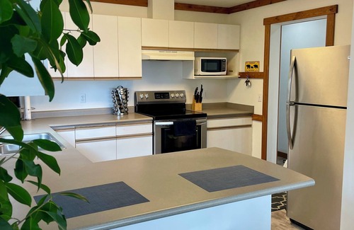 Big White Ski Resort Ski Chalet | The Bear's Den Ski Chalet/Private Hot Tub/Ski In+Out/with Parking/Pet-Friendly!