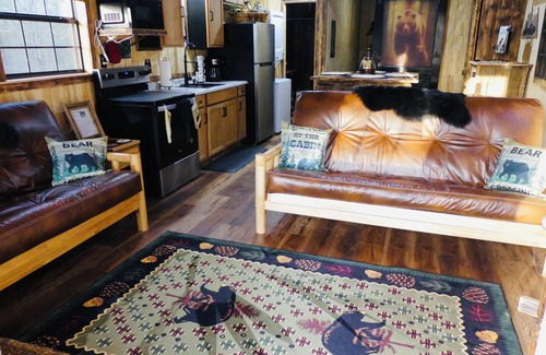 Pine Ridge Cabin | THE BEARS LAIR CABIN- Cabin#2 @ HIDDEN OAKS CABINS
