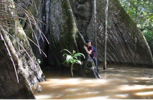 Leticia House | The beautiful heliconias nature reserve