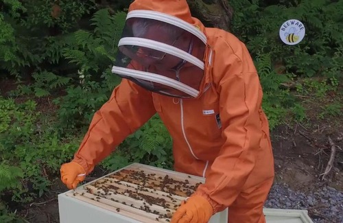 Rossnowlagh House | The Bee Pods