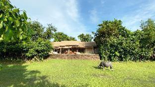 Angkor Thum Resort | The Beige