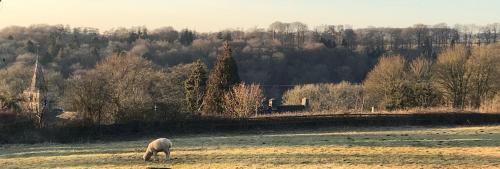 Sapperton Bed & Breakfast | The Bell at Sapperton