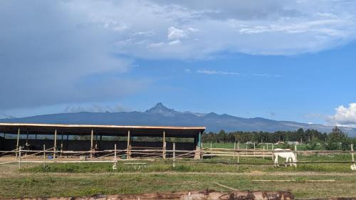 Naro Moru Villa | The Besotted Cottage at Mount Kenya Farm Stay