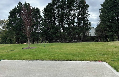 Greer House | The best house to enjoy