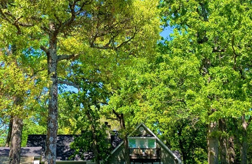 Cherokee County House | The best of lake living; 3/2+Loft; Open water and large yard