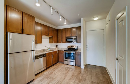 North Burnet House | The Bindel: The Domain, Amazing Location- All bills Paid + Pet Friendly