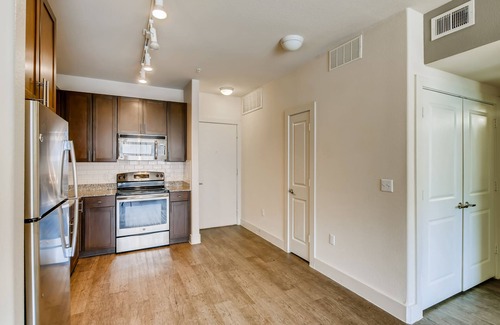 North Burnet House | The Bindel: The Domain, Amazing Location- All bills Paid + Pet Friendly