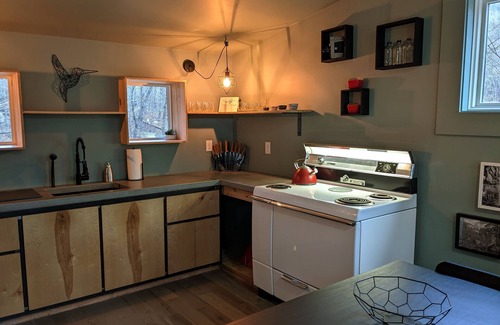 Chattanooga Cabin | The Bird House ~ A modern treehouse in the forest ~ 15 minutes from downtown