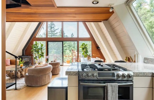 Scotts Valley House | The Bird House - A Santa Cruz mountain home retreat.