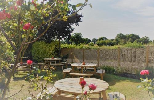 Wreningham Hotel | The Bird in Hand