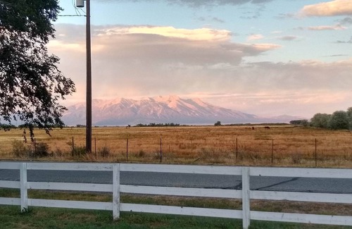 Alamosa Apartment | The Bird Loft