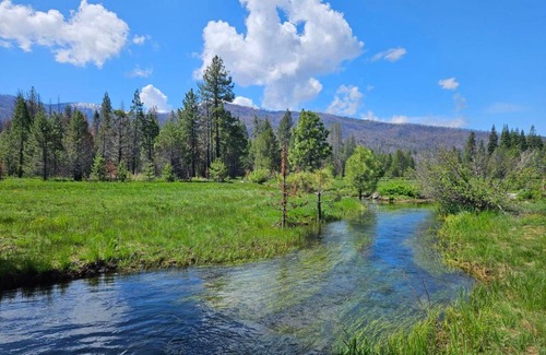 Mill Creek Hotel | The Black Forest Lodge
