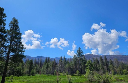 Mill Creek Hotel | The Black Forest Lodge