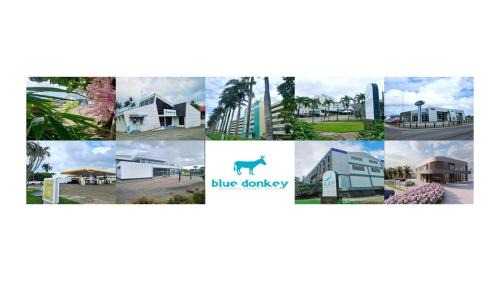 Paramaribo Apartment | The Blue Donkey