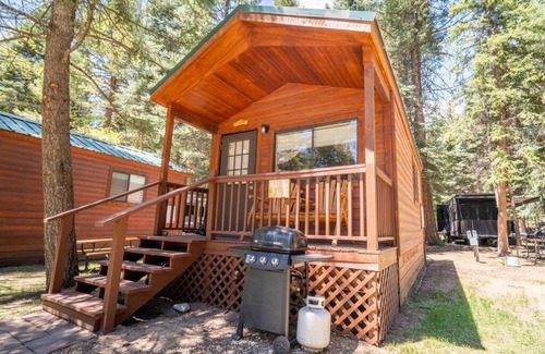 Bayfield House | The Blue Fox Cabin #8 at Blue Spruce RV Park & Cabins