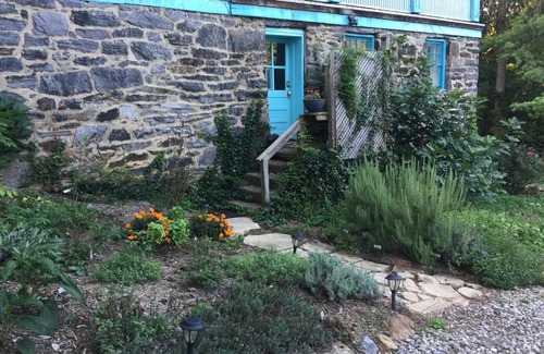 Historic Montford Apartment | The Blue House