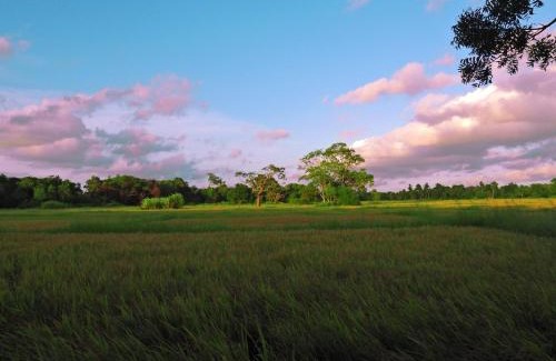 Nochchiyagama Resort | The Blue Sapphire Of Wilpattu