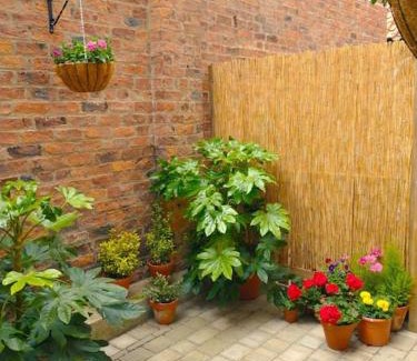 Bootham Apartment | The Boutique York Garden Studio