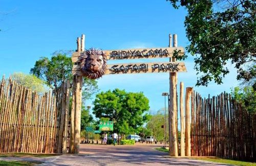 Hambantota Bed & Breakfast | The Bungalow Hambantota