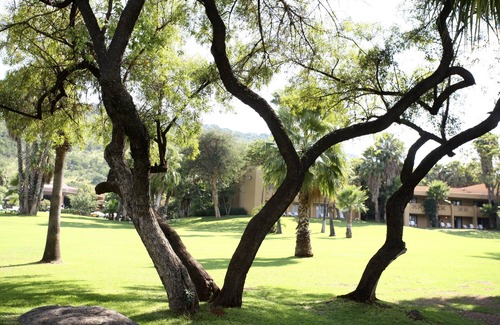 Sun City Hotel | The Cabanas Hotel at Sun City Resort
