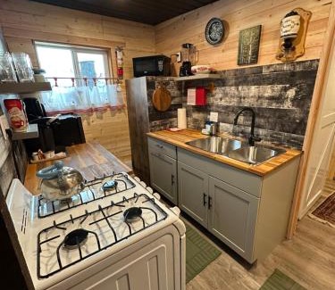 Stewart Ski Chalet | The Cabin