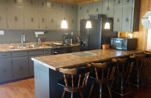 Guntersville House | THE CABIN IN THE HOLLOW Main channel, waterfront, deep water dock, pet friendly