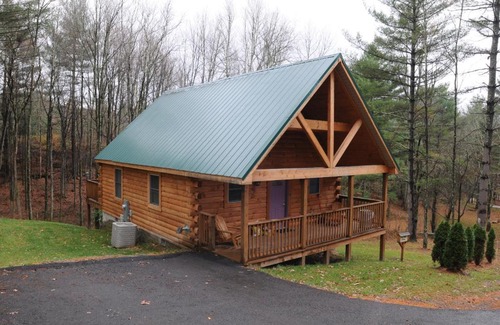 Blue Jay House | The Cabins at Pine Haven - Beckley
