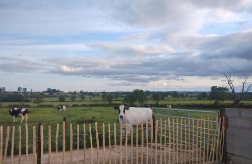 Kelmarsh House | The Calf House