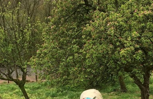 Scales Apartment | The Canteen Beautiful 1-Bed Apartment in Keswick