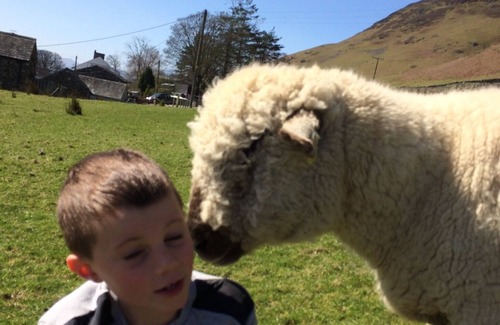 Scales Apartment | The Canteen Beautiful 1-Bed Apartment in Keswick