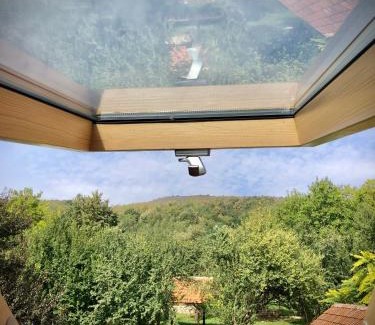 Dobrita House | The Carpathian Lodge