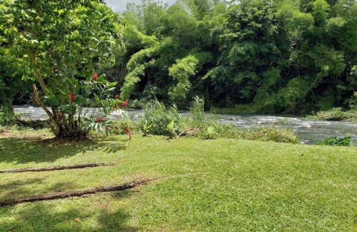 Zarzal RV Rental | The Casita Amarilla del Yunque & Buena Vibra