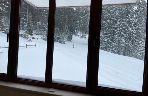 Pamporovo Apartment | The Castle Mountain Apartments