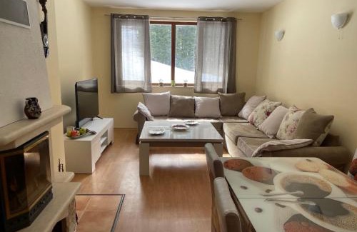 Pamporovo Apartment | The Castle Mountain Apartments