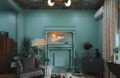 El Paso Apartment | The Cat's Meow Apt 1