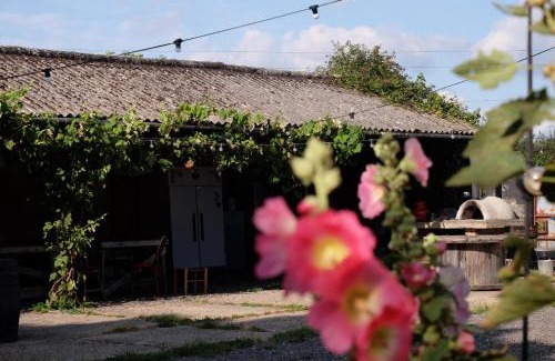 Waterlooville Apartment | The Cattleyard