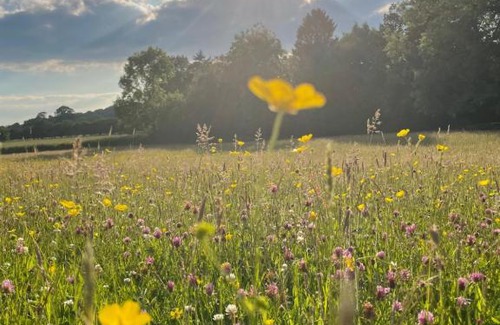 Ashford Bowdler Bed & Breakfast | The Cedars Ludlow