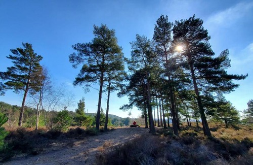 Christchurch Apartment | The Cedarwoods - luxury for up to 5 and your woof!