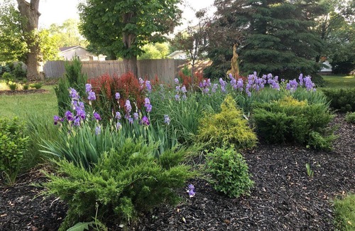 Manistee Bed & Breakfast | The Chandelier Bed & Breakfast "Euro Room" sleeps five people!